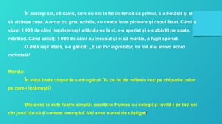 În acelaşi sat, alt câine, care nu era la fel de fericit ca primul, s-a hotărât şi el
să viziteze casa. A urcat cu greu scările, cu coada între picioare şi capul lăsat. Când a
văzut 1 000 de câini neprietenoşi uitându-se la el, s-a speriat şi s-a zbârlit pe spate,
mârâind. Când ceilalţi 1 000 de câini au început şi ei să mârâie, a fugit speriat.
O dată ieşit afară, s-a gândit: „E un loc îngrozitor, nu mă mai întorc acolo
niciodată!
Morala:
În viaţă toate chipurile sunt oglinzi. Tu ce fel de reflexie vezi pe chipurile celor
pe care-i întâlneşti?
Misiunea ta este foarte simplă: poartă-te frumos cu colegii şi invită-i pe toţi cei
din jurul tău să-ţi urmeze exemplul! Vei avea numai de câştigat!
 