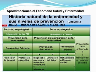Aproximaciones al Fenómeno Salud y Enfermedad
MODELO DE LEAVELL Y CLARK. 1965
 