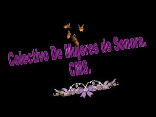 Colectivo De Mujeres de Sonora. CMS. 