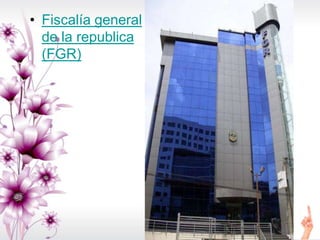 • Fiscalía general
de la republica
(FGR)
 