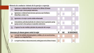 Historia de conducta violenta de la pareja o expareja
 