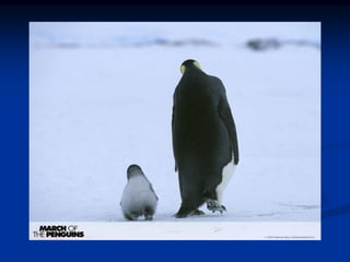 Violencia en adolescentes