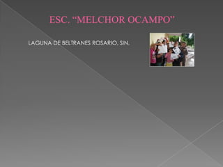 ESC. “MELCHOR OCAMPO”

LAGUNA DE BELTRANES ROSARIO, SIN.
 