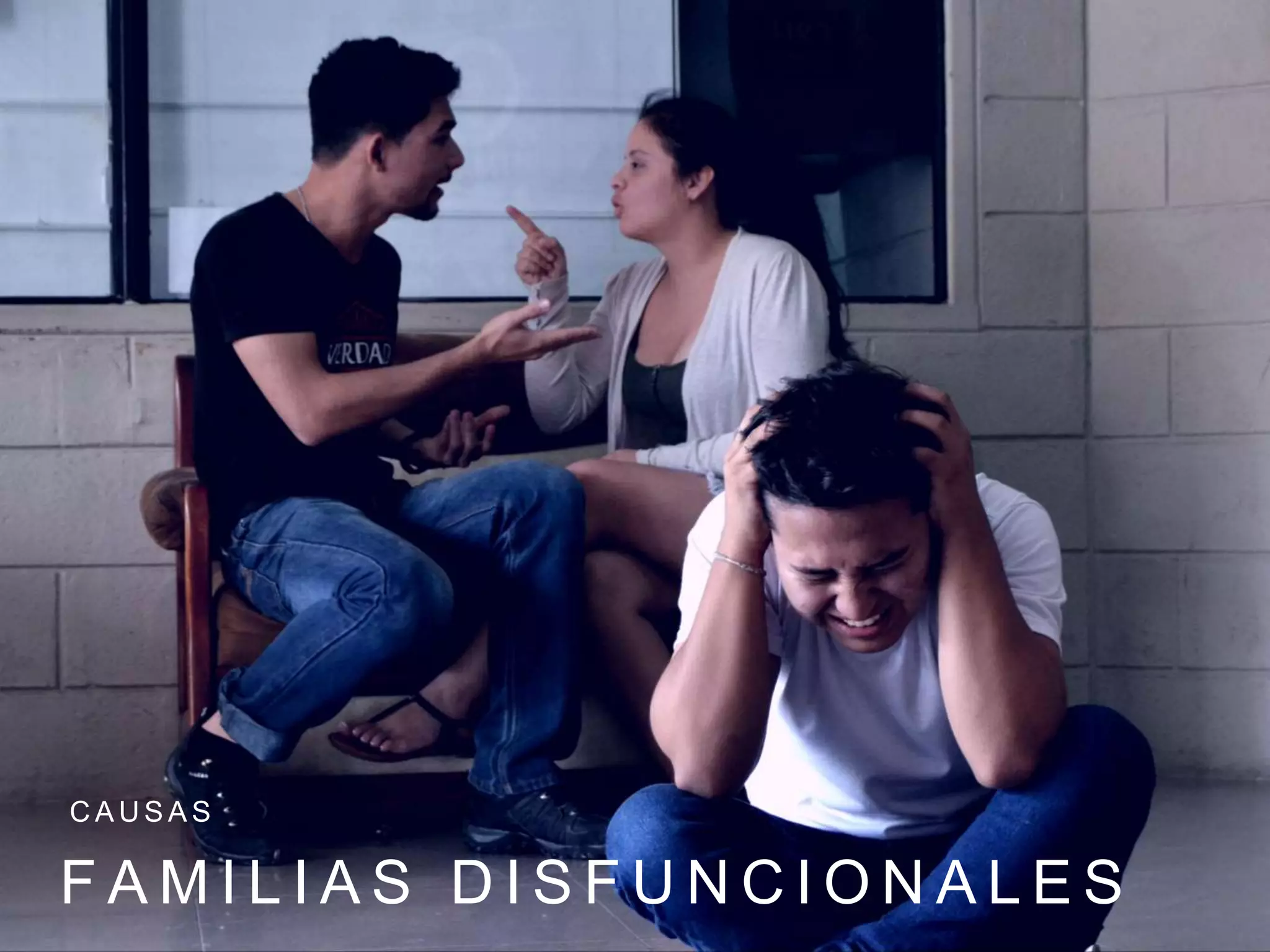 F A M I L I A S D I S F U N C I O N A L E S
C A U S A S