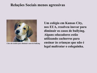 Um colégio em Kansas City,
nos EUA, resolveu inovar para
diminuir os casos de bullying.
Alguns educadores estão
utilizando cachorros para
ensinar às crianças que não é
legal maltratar o coleguinha.
Cães são usados para diminuir casos de bullying
Relações Sociais menos agressivas
 