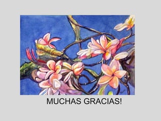MUCHAS GRACIAS!
 