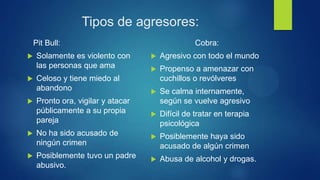 Tipos de agresores:
Pit Bull:
 Solamente es violento con
las personas que ama
 Celoso y tiene miedo al
abandono
 Pronto ora, vigilar y atacar
públicamente a su propia
pareja
 No ha sido acusado de
ningún crimen
 Posiblemente tuvo un padre
abusivo.
Cobra:
 Agresivo con todo el mundo
 Propenso a amenazar con
cuchillos o revólveres
 Se calma internamente,
según se vuelve agresivo
 Difícil de tratar en terapia
psicológica
 Posiblemente haya sido
acusado de algún crimen
 Abusa de alcohol y drogas.
 