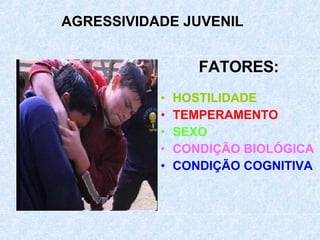 FATORES: HOSTILIDADE TEMPERAMENTO SEXO CONDIÇÃO BIOLÓGICA CONDIÇÃO COGNITIVA AGRESSIVIDADE JUVENIL 