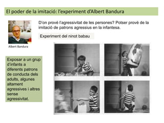 El poder de la imitació: l’experiment d’Albert Bandura
D’on prové l’agressivitat de les persones? Potser prové de la
imitació de patrons agressius en la infantesa.
Albert Bandura
Experiment del ninot babau
Exposar a un grup
d’infants a
diferents patrons
de conducta dels
adults, algunes
altament
agressives i altres
sense
agressivitat.
 
