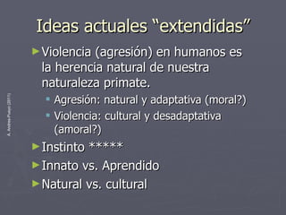 Ideas actuales “extendidas” Violencia (agresión) en humanos es la herencia natural de nuestra naturaleza primate. Agresión: natural y adaptativa (moral?) Violencia: cultural y desadaptativa (amoral?) Instinto ***** Innato vs. Aprendido Natural vs. cultural 