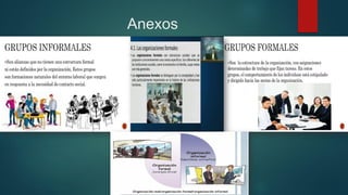 Anexos
 