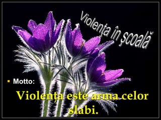 Motto:
Violenţa este arma celor
slabi.
 