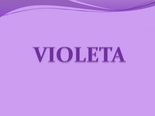 Violeta