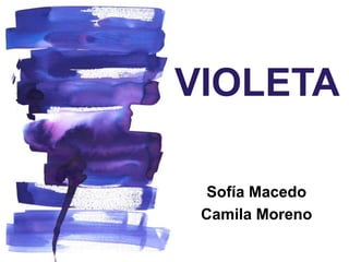 Sofía Macedo
Camila Moreno
VIOLETA
 