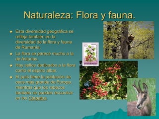 Naturaleza: Flora y fauna.
 Esta diversidad geográfica se
refleja también en la
diversidad de la flora y fauna
de Rumanía.
 La flora se parece mucho a la
de Asturias.
 Hay sellos dedicados a la flora
como el espino albar.
 El país tiene la población de
osos más grande de Europa,
mientras que los rebecos
también se pueden encontrar
en los Cárpatos.
 