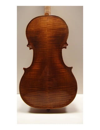 Violin Back