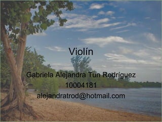 Violín Gabriela Alejandra Tun Rodríguez 10004181 [email_address] 