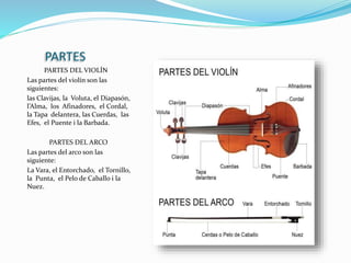 PARTES
PARTES DEL VIOLÍN
Las partes del violín son las
siguientes:
las Clavijas, la Voluta, el Diapasón,
l’Alma, los Afinadores, el Cordal,
la Tapa delantera, las Cuerdas, las
Efes, el Puente i la Barbada.
PARTES DEL ARCO
Las partes del arco son las
siguiente:
La Vara, el Entorchado, el Tornillo,
la Punta, el Pelo de Caballo i la
Nuez.
 
