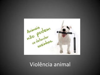 Violência animal