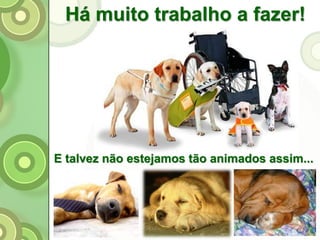 Há muito trabalho a fazer!
E talvez não estejamos tão animados assim...
 