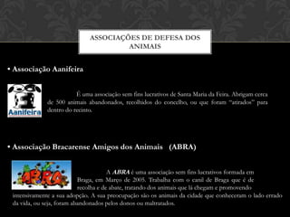 Associações de defesa dos animais• Associação AanifeiraÉ uma associação sem fins lucrativos de Santa Maria da Feira. Abrigam cerca de 500 animais abandonados, recolhidos do concelho, ou que foram “atirados” para dentro do recinto.• Associação Bracarense Amigos dos Animais   (ABRA)	A ABRA é uma associação sem fins lucrativos formada em Braga, em Março de 2005. Trabalha com o canil de Braga que é de recolha e de abate, tratando dos animais que lá chegam e promovendointensivamente a sua adopção. A sua preocupação são os animais da cidade que conheceram o lado errado da vida, ou seja, foram abandonados pelos donos ou maltratados.