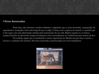 • Feras AmansadasNum circo, não obstante o carácter dinâmico e aligeirado que se tenta transmitir, a preparação do espectáculo é atempada e bem mais longa do que se julga. Começa com a captura do animal, e o período que se lhe segue com uma alimentação mínima para manutenção da sua vida. Depois seguem-se os treinos, sempre baseados na dicotomia castigo/recompensa, mas essencialmente no condicionamento através da dor. 	Na verdade, aquele que é considerado o maior espectáculo do Mundo tem por base o medo, a tortura e a anulação dos instintos. São feras amansadas, transformadas em servis bajuladores.