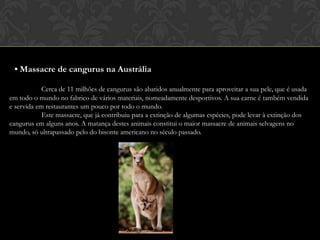 • Massacre de cangurus na AustráliaCerca de 11 milhões de cangurus são abatidos anualmente para aproveitar a sua pele, que é usada em todo o mundo no fabrico de vários materiais, nomeadamente desportivos. A sua carne é também vendida e servida em restaurantes um pouco por todo o mundo. 	Este massacre, que já contribuiu para a extinção de algumas espécies, pode levar à extinção dos cangurus em alguns anos. A matança destes animais constitui o maior massacre de animais selvagens no mundo, só ultrapassado pelo do bisonte americano no século passado.