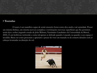 • TouradasO touro é um mamífero capaz de sentir emoções fortes como dor, medo e até ansiedade. Possui um sistema límbico, um sistema nervoso complexo e terminações nervosas superficiais que lhe permitem sentir dor e sofrer (segundo estudo de John Webster, Veterinário Catedrático da Universidade de Bristol, 2005). É um herbívoro territorial, e como tal apenas se defende quando é atacado ou quando o seu espaço é invadido. Basta ver como procuram e apreciam o prazer de viver em manada ou de estarem deitados com as cabeças levantadas na direcção do sol.