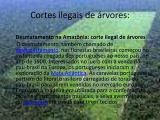 Violência contra a Natureza
