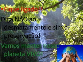 Violência contra a Natureza