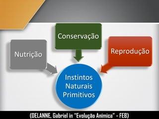 Instintos
Naturais
Primitivos
Nutrição
Conservação
Reprodução
(DELANNE, Gabriel in “Evolução Anímica” - FEB)
 