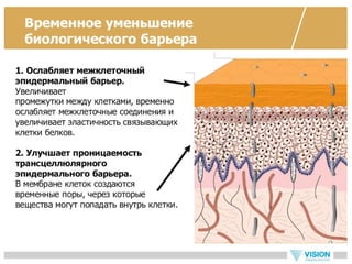 Vip ultrasonic - новый прибор для ухода за кожей