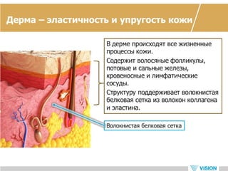 Vip ultrasonic - новый прибор для ухода за кожей
