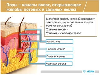 Vip ultrasonic - новый прибор для ухода за кожей