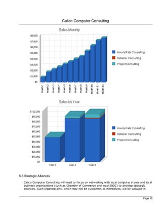 Calico Computer Consulting




5.6 Strategic Alliances
   Calico Computer Consulting will need to foc us on networking with loc al computer stores and loc al
   business organizations (such as Chamber of Commerce and loc al SBDC) to develop strategic
   alliances. Such organizations, which may not be customers in themselves, will be valuable in


                                                                                               Page 16
 