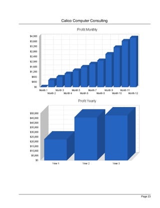Calico Computer Consulting




                             Page 23
 