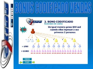 BONUS CODIFICADO VENDAS $ 50 