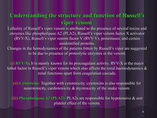 Understanding the structure and function of Russell’sUnderstanding the structure and function of Russell’s
viper venomviper venom
Lethality of Russell’s viper venom is attributed to the presence of several toxins andLethality of Russell’s viper venom is attributed to the presence of several toxins and
enzymes like phospholipase A2 (PLA2), Russell’s viper venom factor X activatorenzymes like phospholipase A2 (PLA2), Russell’s viper venom factor X activator
(RVV-X), Russell’s viper venom factor V (RVV-V), proteinases, and certain(RVV-X), Russell’s viper venom factor V (RVV-V), proteinases, and certain
unidentified proteins.unidentified proteins.
Changes in the hemodynamics of the patients bitten by Russell’s viper are suggestedChanges in the hemodynamics of the patients bitten by Russell’s viper are suggested
to be due to presence of proteolytic enzymes in the venom.to be due to presence of proteolytic enzymes in the venom.
(i)(i) RVV-XRVV-X:: It is mainly known for its procoagulant activity. RVV-X is the majorIt is mainly known for its procoagulant activity. RVV-X is the major
lethal factor in Russell’s viper venom which also affects the renal haemodynamics &lethal factor in Russell’s viper venom which also affects the renal haemodynamics &
renal functions apart from coagulation cascade.renal functions apart from coagulation cascade.
(ii)(ii) Cytotoxins:Cytotoxins: Together with cytotoxicity, cytotoxins is also responsible forTogether with cytotoxicity, cytotoxins is also responsible for
neurotoxicity, cardiotoxicity & myotoxicity of the snake venom.neurotoxicity, cardiotoxicity & myotoxicity of the snake venom.
(iii)(iii) Phospholipase A2 (PLA2):Phospholipase A2 (PLA2): PLA2s are responsible for hypotensive & antiPLA2s are responsible for hypotensive & anti
platelet effect of the venom.platelet effect of the venom.
4
 