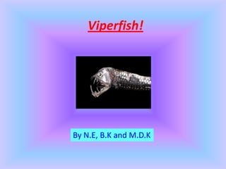 Viperfish!




By N.E, B.K and M.D.K
 