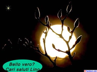 Bello vero?  Cari saluti Lino 