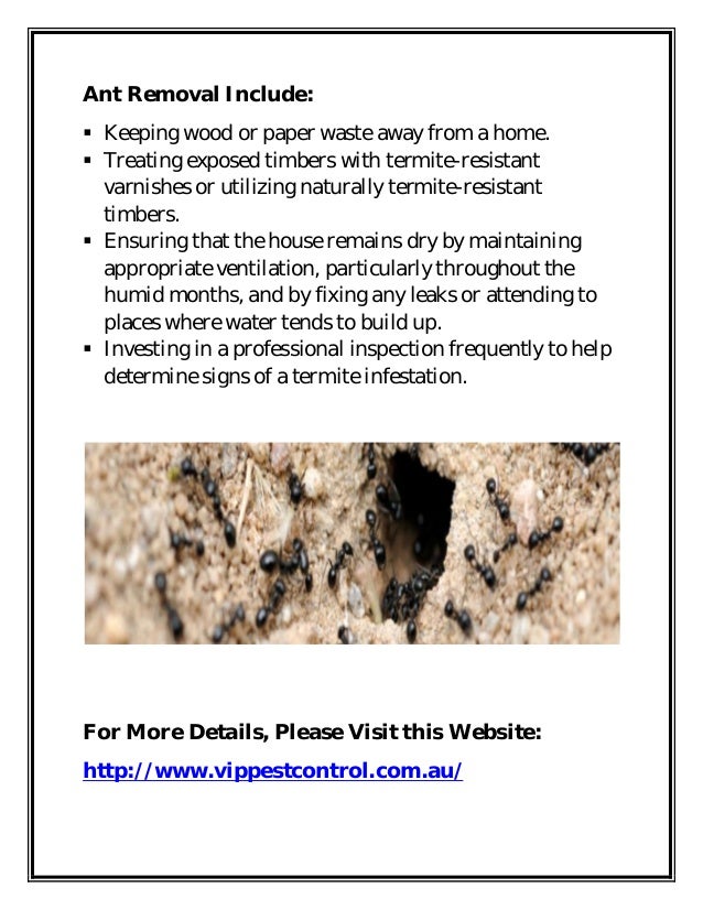 Vip pest controlant removal knox