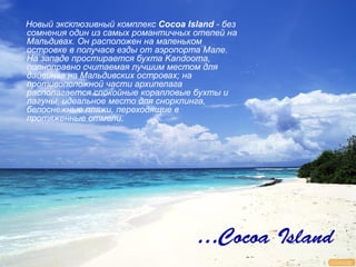 Новый эксклюзивный комплекс Cocoa Island - без
сомнения один из самых романтичных отелей на
Мальдивах. Он расположен на маленьком
островке в получасе езды от аэропорта Мале.
На западе простирается бухта Kandooma,
полноправно считаемая лучшим местом для
дайвинга на Мальдивских островах; на
противоположной части архипелага
располагается спокойные коралловые бухты и
лагуны, идеальное место для снорклинга,
белоснежные пляжи, переходящие в
протяженные отмели.




                                     …Cocoa Island
 