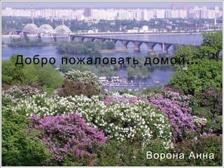 Добро пожаловать домой …




                 Ворона Анна
 