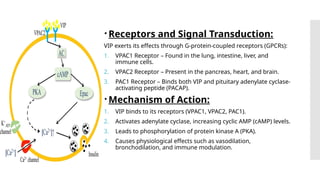 Vip Receptor VIP,Substance P,Neurotensin.pptxisidiidididiidod;s | PPTX