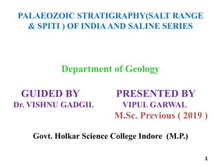 PALAEOZOIC STRATIGRAPHY(SALT RANGE
& SPITI ) OF INDIAAND SALINE SERIES
Department of Geology
GUIDED BY PRESENTED BY
Dr. VISHNU GADGIL VIPUL GARWAL
M.Sc. Previous ( 2019 )
Govt. Holkar Science College Indore (M.P.)
1
 
