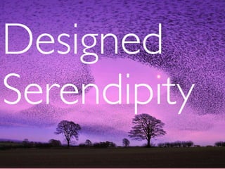 Designed
Serendipity
 