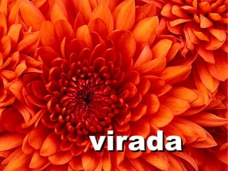 viradavirada
 