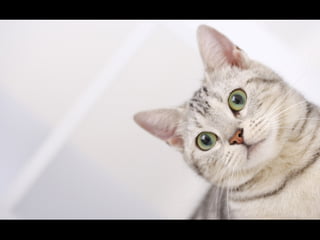 Virada empreendedora