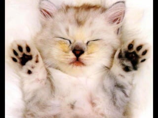 Virada empreendedora