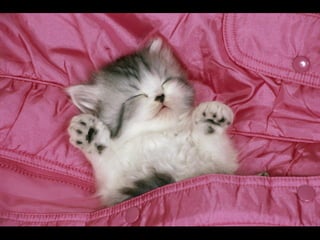 Virada empreendedora